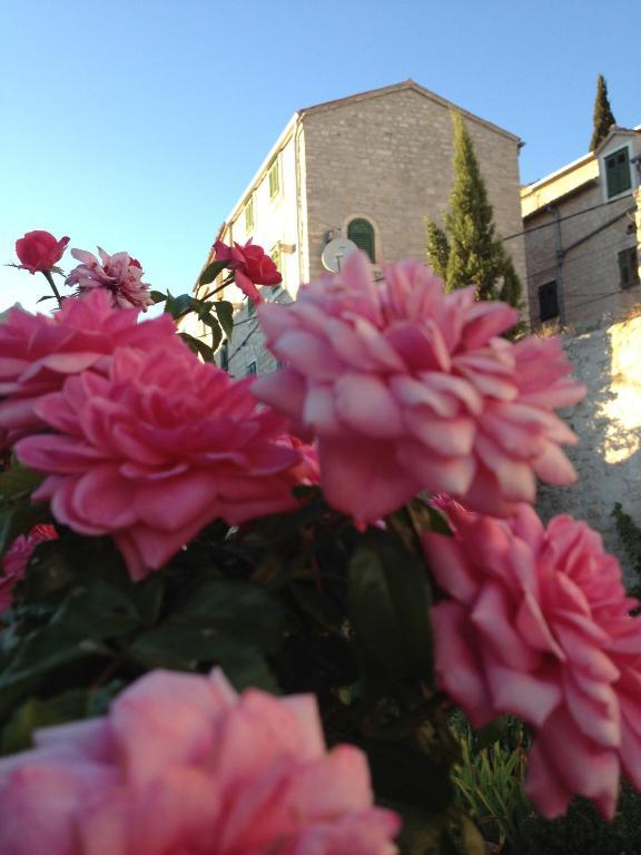 Apartments Kokolo Sibenik Bagian luar foto